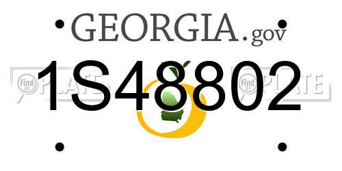 1S48802 Georgia License Plate