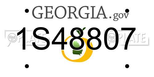 1S48807 Georgia License Plate