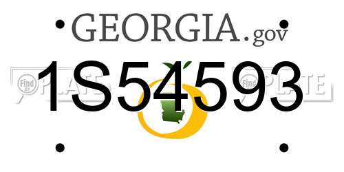 1S54593 Georgia License Plate