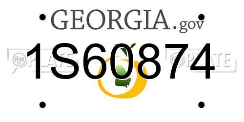 1S60874 Georgia License Plate