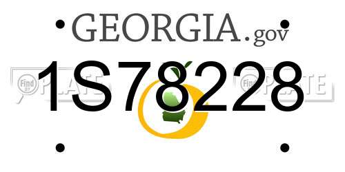 1S78228 Georgia License Plate