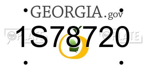 1S78720 Georgia License Plate