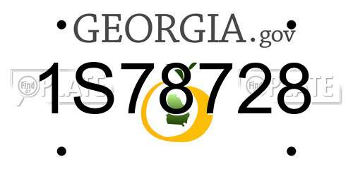 1S78728 Georgia License Plate