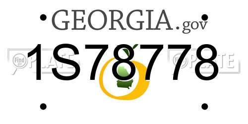 1S78778 Georgia License Plate