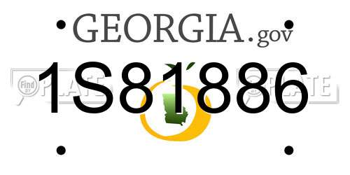 1S81886 Georgia License Plate