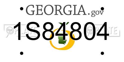 1S84804 Georgia License Plate