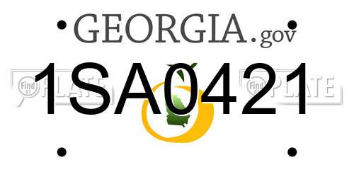 1SA0421 Georgia License Plate