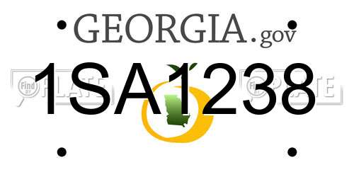 1SA1238 Georgia License Plate