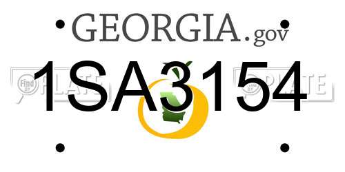 1SA3154 Georgia License Plate