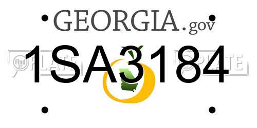 1SA3184 Georgia License Plate