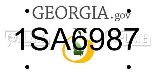 1SA6987 Georgia License Plate