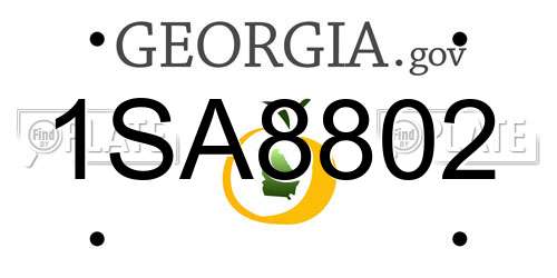 1SA8802 Georgia License Plate