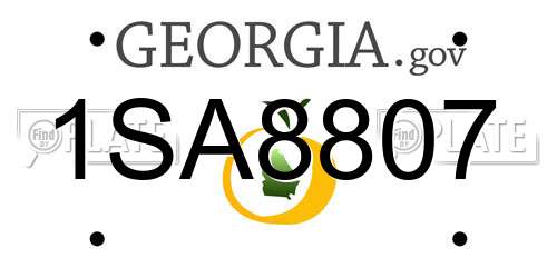 1SA8807 Georgia License Plate