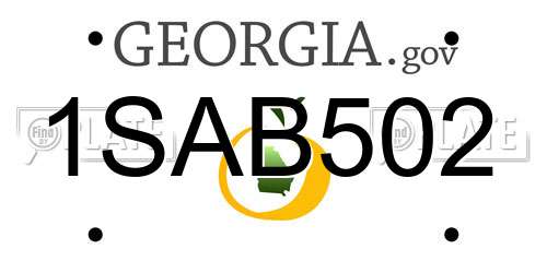 1SAB502 Georgia License Plate