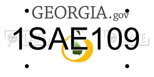 1SAE109 Georgia License Plate