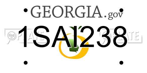 1SAI238 Georgia License Plate