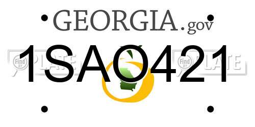 1SAO421 Georgia License Plate