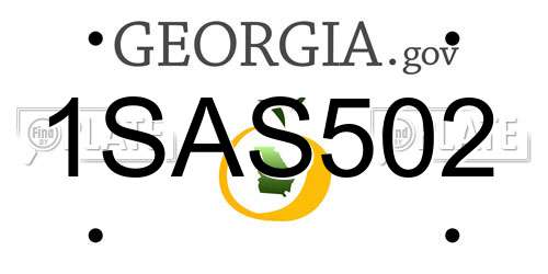 1SAS502 Georgia License Plate