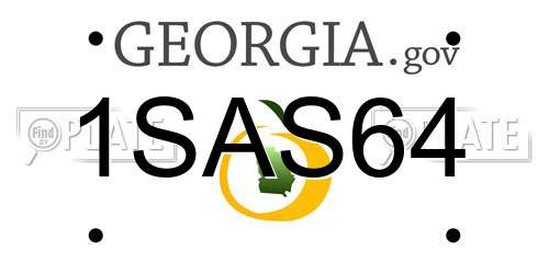 1SAS64 Georgia License Plate