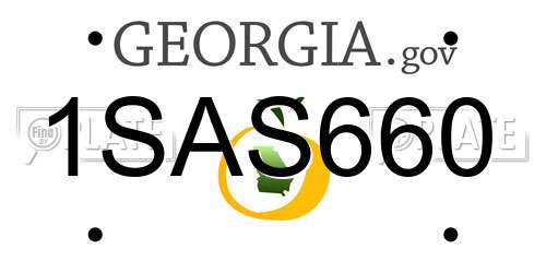 1SAS660 Georgia License Plate