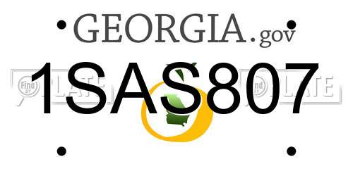 1SAS807 Georgia License Plate
