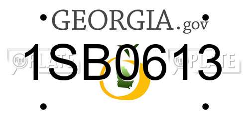 1SB0613 Georgia License Plate