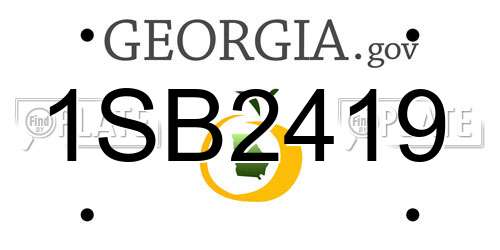 1SB2419 Georgia License Plate