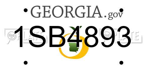 1SB4893 Georgia License Plate