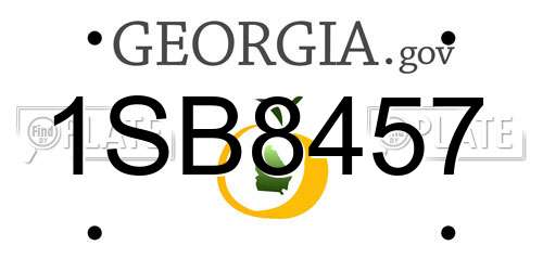 1SB8457 Georgia License Plate