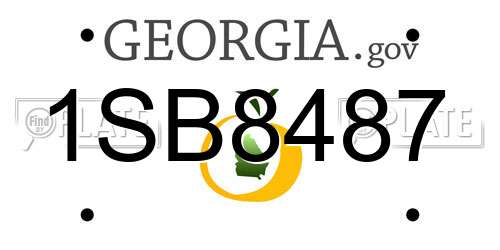 1SB8487 Georgia License Plate