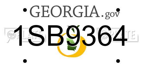 1SB9364 Georgia License Plate