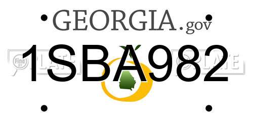 1SBA982 Georgia License Plate