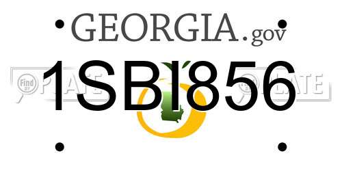 1SBI856 Georgia License Plate