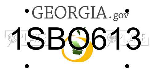 1SBO613 Georgia License Plate