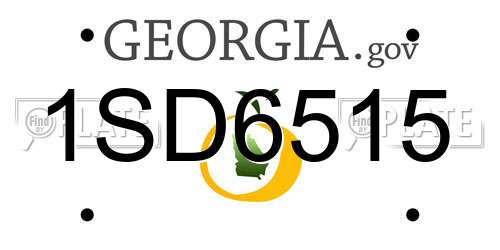 1SD6515 Georgia License Plate