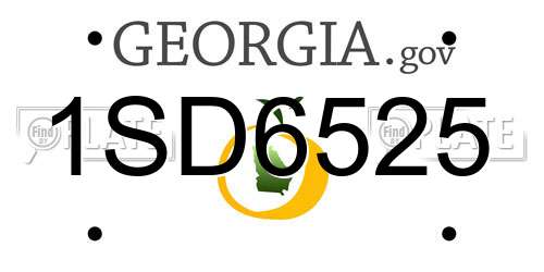 1SD6525 Georgia License Plate