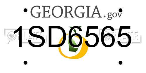 1SD6565 Georgia License Plate