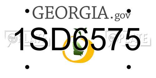 1SD6575 Georgia License Plate