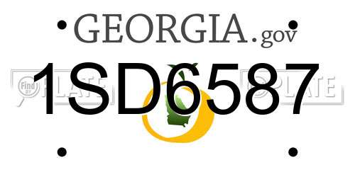 1SD6587 Georgia License Plate
