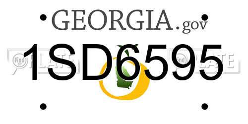 1SD6595 Georgia License Plate