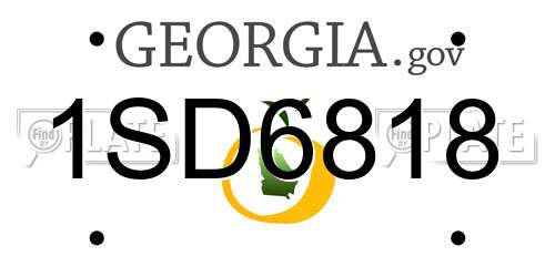 1SD6818 Georgia License Plate