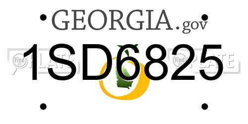 1SD6825 Georgia License Plate
