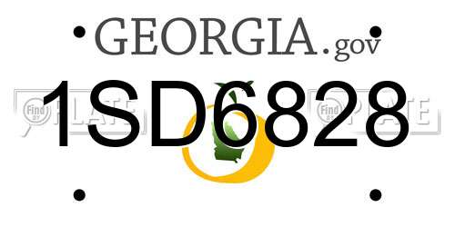 1SD6828 Georgia License Plate