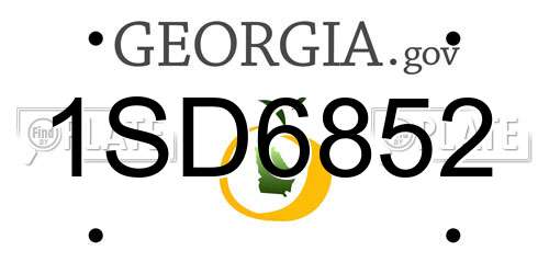 1SD6852 Georgia License Plate