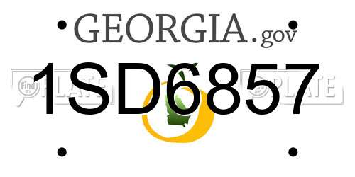 1SD6857 Georgia License Plate