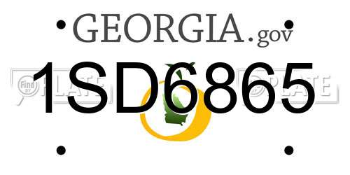1SD6865 Georgia License Plate
