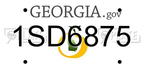 1SD6875 Georgia License Plate
