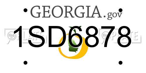 1SD6878 Georgia License Plate