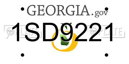 1SD9221 Georgia License Plate