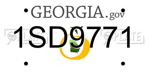 1SD9771 Georgia License Plate